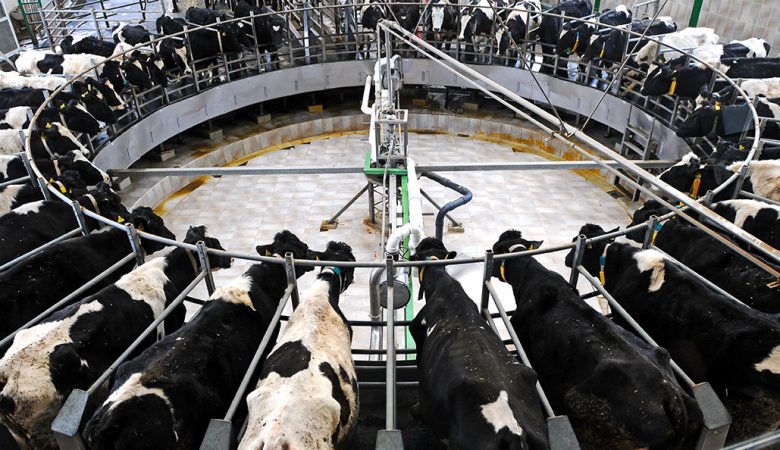 normativas sobre produção de leite